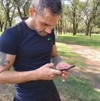 Roberto Klein - Facebook