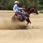 Roberto Landeros - @rob.landeros.9 - Instagram