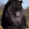 Roberto Lastra - @roberto.lastra5 - TikTok