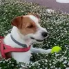 Roberto Llanes - @roberto.llanes5 - TikTok