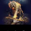 Roberto Llanes (JAIME) - @roberto.llanes.ja - TikTok