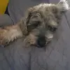 Roberto Loera - @robertoloera77 - TikTok
