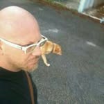 Roberto Redboblii Lomasto - @robertolomasto - Instagram