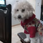 R.E.L - @roberto.lugones.712 - Instagram
