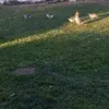 Roberto Marroquin - @roberto.marroquin05 - TikTok