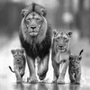 Mayorga’s Family - @robertomayorga431 - TikTok