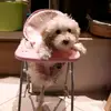 Roberto Mele - @roberto.mele3 - TikTok