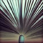 Roberto Melecio - @t.j.mele.cio - Instagram