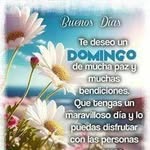 Roberto Melecio - @ocamporoberto959 - Instagram