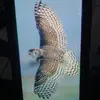 Roberto Monterroza - @user3138242213769 - TikTok