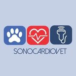 M.V Esp. Roberto Mujica G. - @sonocardiovet - Instagram