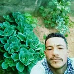 Roberto Neves - @robertoneves482 - Instagram