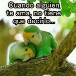 Roberto Nino - @nino5260 - Instagram