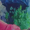 Roberto Obando - @roberto.obando123 - TikTok