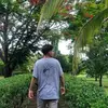 Roberto Obando - @robertoobabdo_ - TikTok