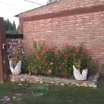 Roberto Olguin - @roberto_pachy - Instagram