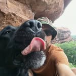 Roberto Palmer - @roberto_palmer - Instagram