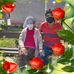 Roberto Isaias Ticse Pando - Facebook