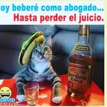 Roberto Paucar - @macarasito_de_ambatoo - Instagram