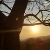 Paulo Roberto - @robertopaul4 - TikTok