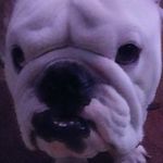 robertop - @roberto.pecina.792 - Instagram