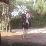 Roberto Pedroso - @roberto.pedroso.334839 - Instagram
