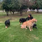Roberto Perea Alfonso - @roberttperea - Instagram