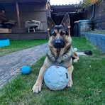 Roberto Peters - Facebook