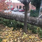 Roberto Pietri - @roberto.pietri - Instagram