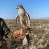 Roberto Plata - @roberto.plata3 - TikTok