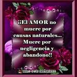 Roberto Polanco - @robertopolanco23 - Instagram