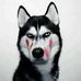 Roberto Pupo - Facebook