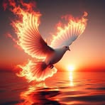 Roberto Quevedo - Facebook