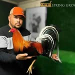 Roberto Ramirez H - @spring__grove_show_birds - Instagram