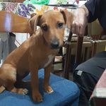 Roberto Recchia - @roberto.recchia6734 - Instagram