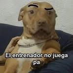 Roberto Rendon - Facebook