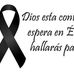 Roberto Jose Robleto - Facebook