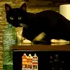 Roberto Rojo - @roberto.rojo - TikTok