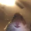 Roberto Saavedra - @robertosaavedra3 - TikTok