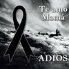 Roberto Saavedra - @robertosaavedra45 - TikTok