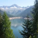 Roberto Schmidt - @robertoschmidt64 - Instagram