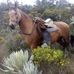 Roberto Serna - Facebook