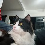 Roberto Serna - @roberto.serna.395 - Instagram