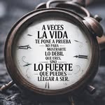 Roberto Sibaja - @sibaja464 - Instagram