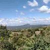 robertosibrian828 - @robertosibrian828 - TikTok