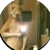 Roberto Simental - @roberto.simental5 - TikTok