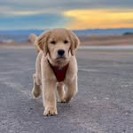 Roberto Sole - @sole3855 - Instagram