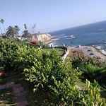 Roberto Tafolla - @roberto.tafolla.9041 - Instagram