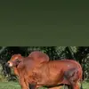 Roberto Teran - @roberto.teran11 - TikTok