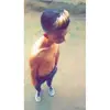 Roberto Teran - @robertoteran - TikTok